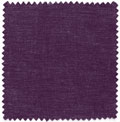 Japanese Violet (B430)