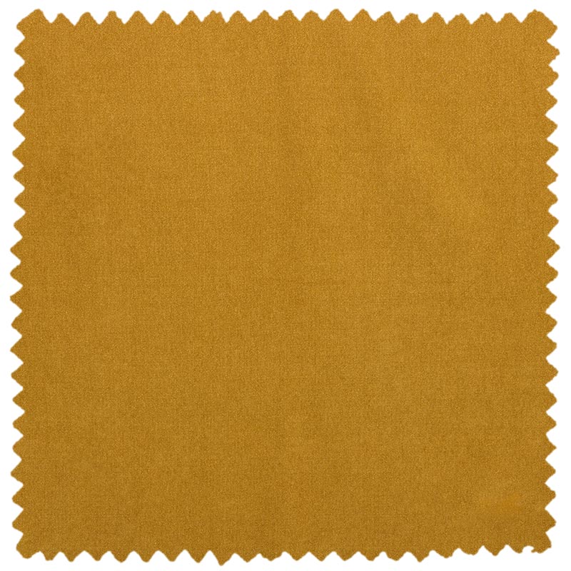 Brugge Turmeric